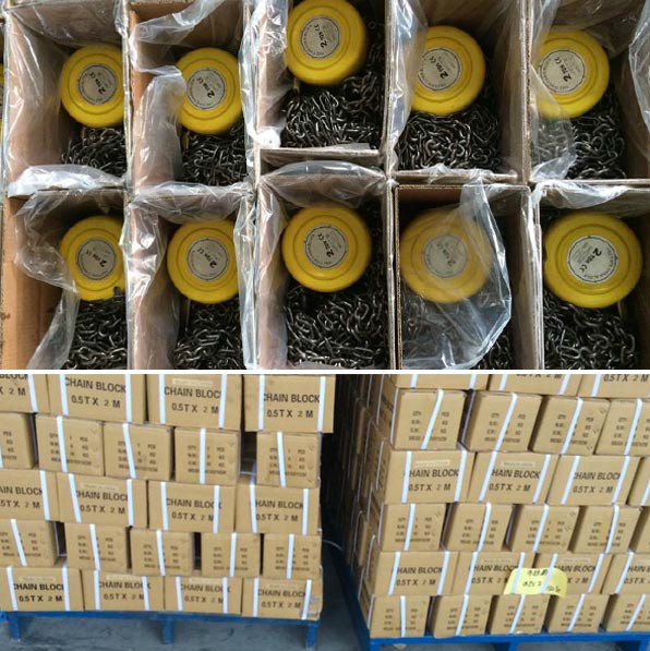 1 Ton 2 Ton 3t 5t 10t 20t 50t SK Type Chain Block